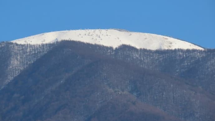 鉢伏山 2023/02/16