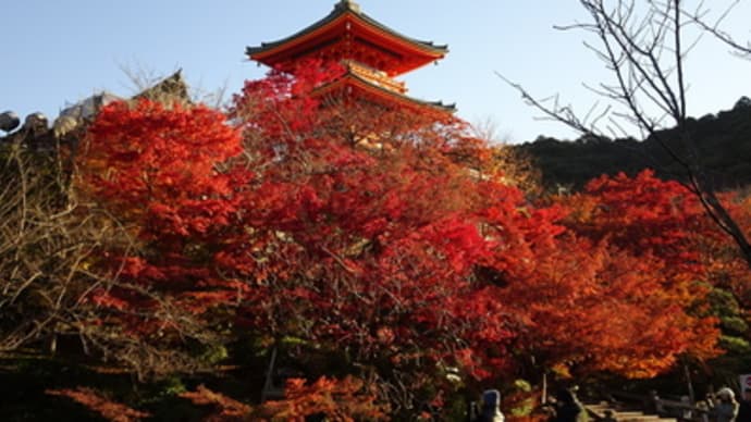 清水寺の紅葉と縁切り夜叉伝説（後編）　＠　京都妖怪探訪（５２６）