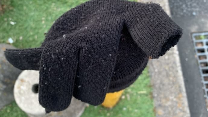日乗 diary - 落としモノ 手袋241 lost glove