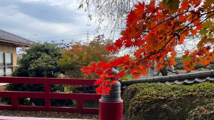八王子ですよ〜🍁