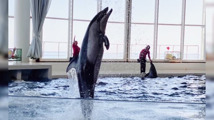 水族館！！