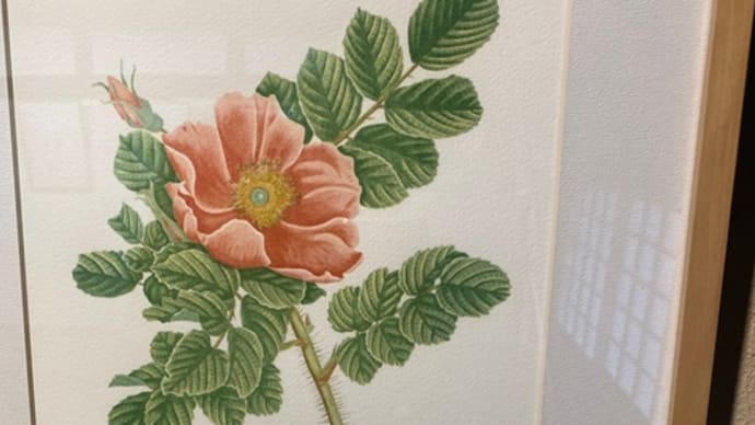 ガリバン、ガリ版画の世界を堪能。水口菜津子展、助田篤郎展、6月まで和紙の里の博物館、工芸館で❣️大河「べらぼう」と辻文の世界も😃
