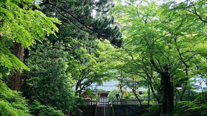 緑に包まれたお寺