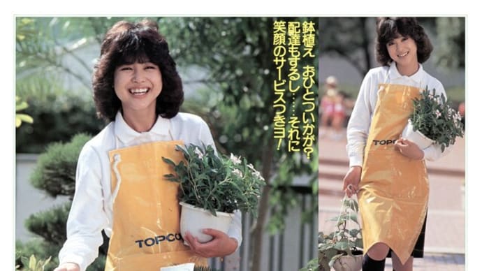 二人でとんがり屋根の花屋さん♥松田聖子 高田みづえ ペッパー警部 1982年NHK歌謡ホールより