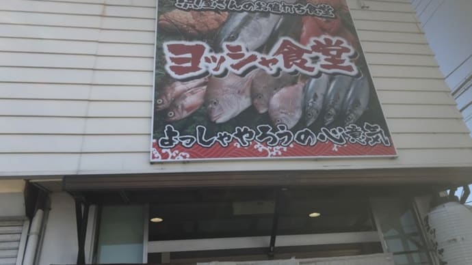 【ヨッシャ食堂】ランチ『天然ブリ ポテトサラダ』泉佐野市