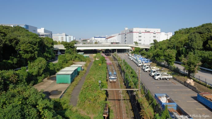 １１月上旬の生態園で