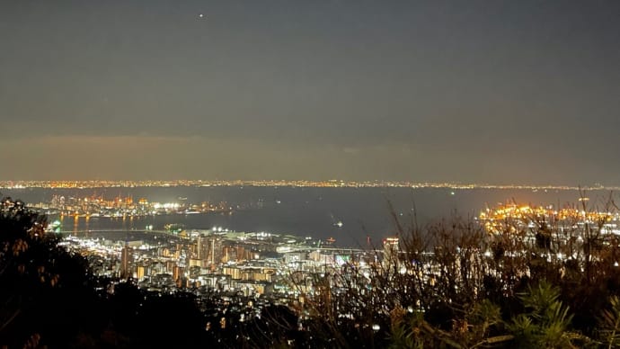 「ボタニカルクリスマス」と神戸の夜景✨🎄✨②