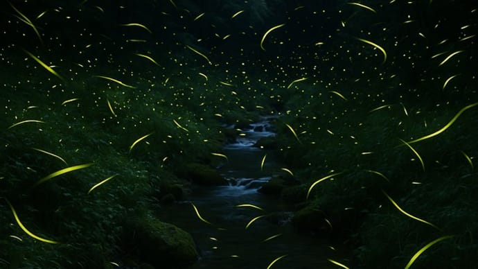 ホタルの写真に思うこと