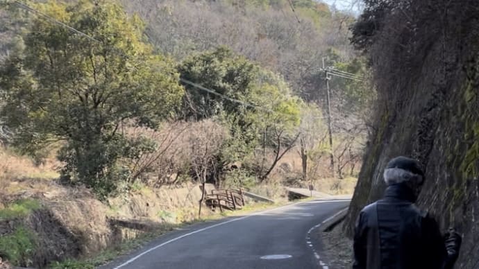 貝殻を踏む音ひゞく浅利汁