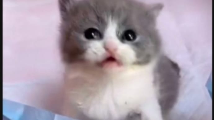 花金だ