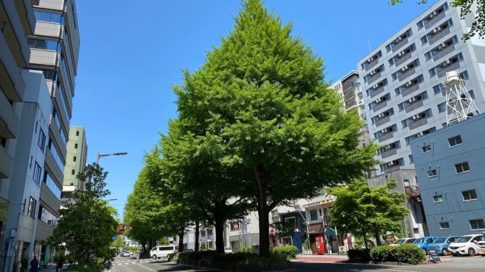 Tue '22/05/10 本日快晴! 亘理経由で帰ることにしたが…