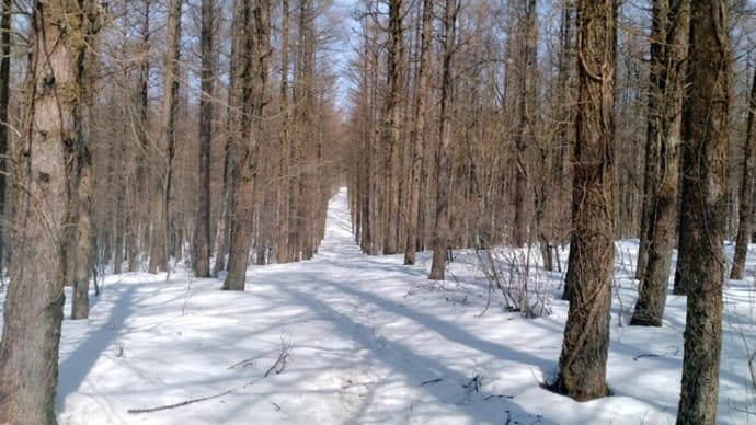 種山高原