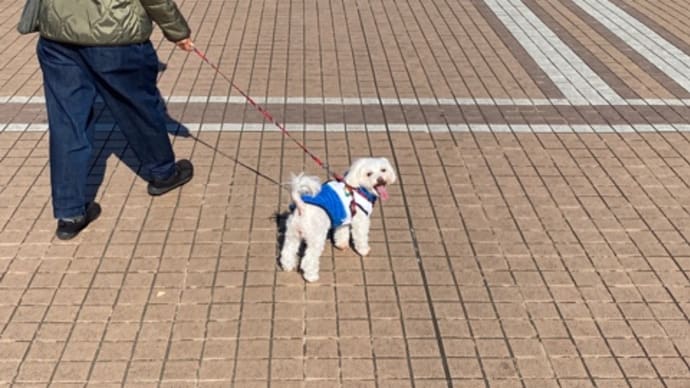 木場公園へ