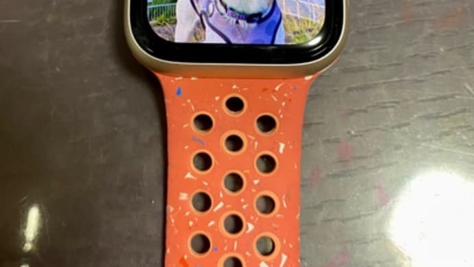 念願のApple Watchだぞ〜〜〜！