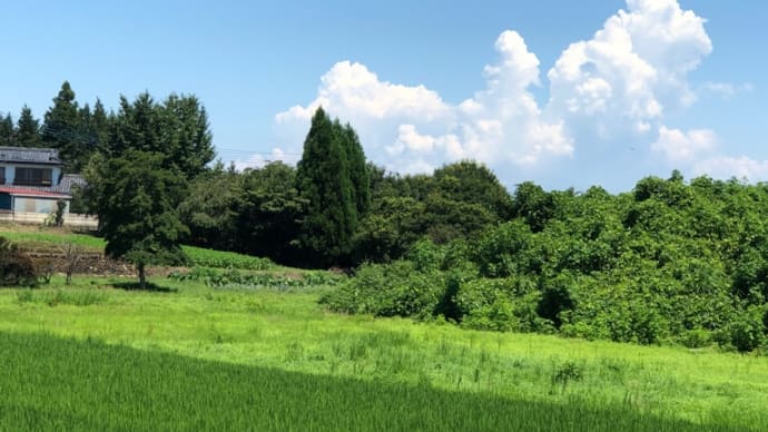 夏〜