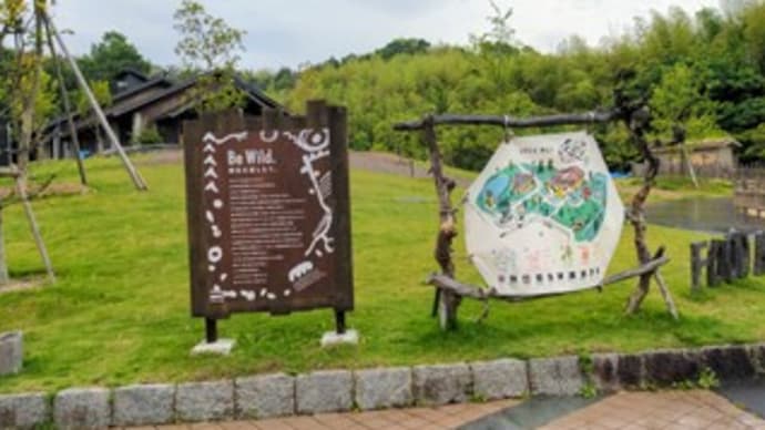 【道の駅 四季の郷公園 火の食堂 FOOD HUNTER PARK】 ランチ『地卵サンド ほぐし鶏のコールスローサンド』 和歌山市明王寺