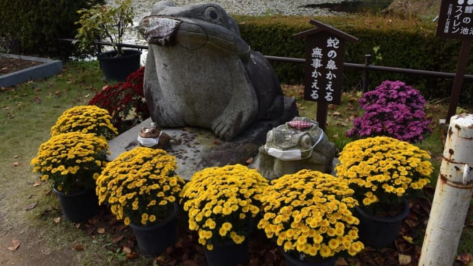 もみじ狩り 福島県本宮市 蛇の鼻遊楽園(2)蛇の鼻かえる 無事かえる