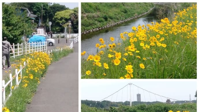 2021cycling Act19 近場めぐり