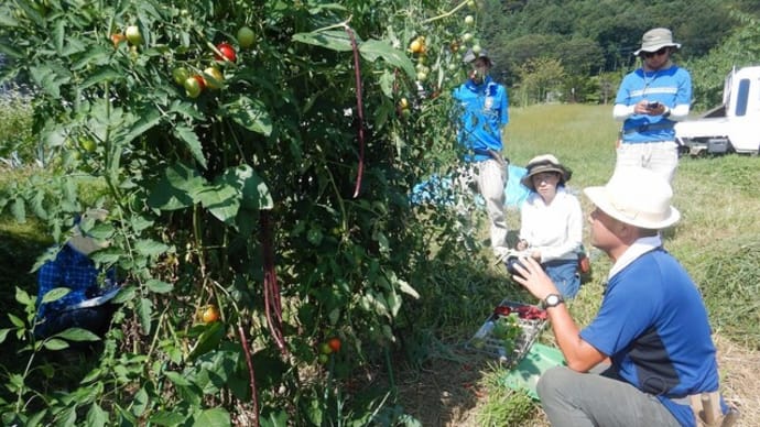 【無料公開用】自然菜園スクール(安曇野校)『自然菜園実践コース』9/7(土) 午前:自然菜園講座⑩夏野菜の自家採種 午後:秋野菜の種まき
