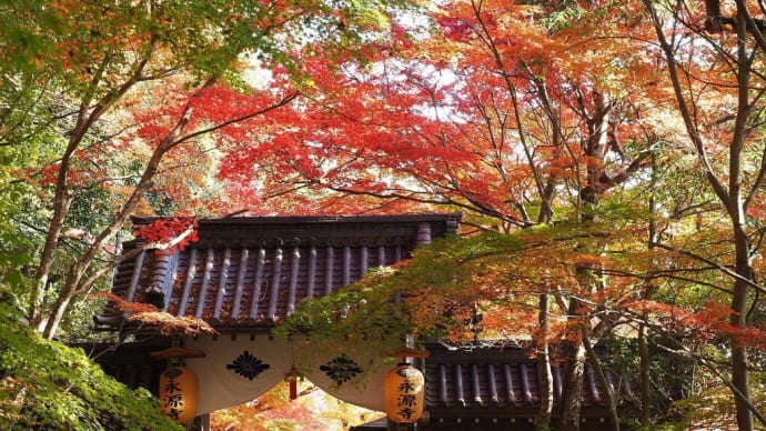 秋彩の候 part 1(永源寺)
