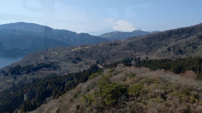 今日のお客様