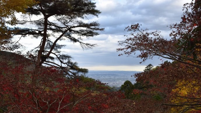 もみじ狩り　神奈川県伊勢原市　大山寺（4）大師堂