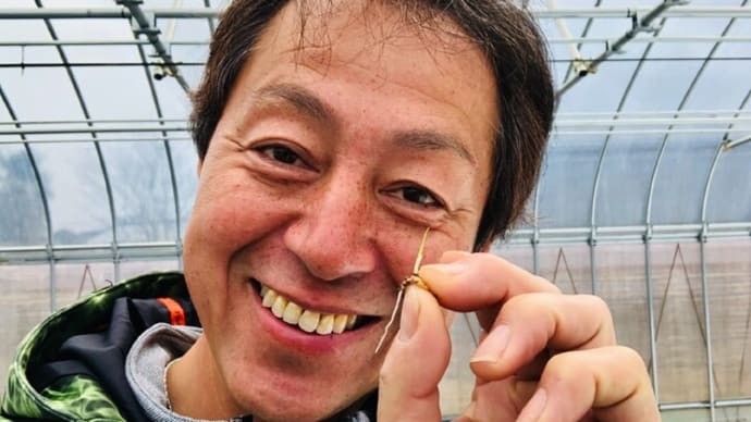 一年生(^^)/