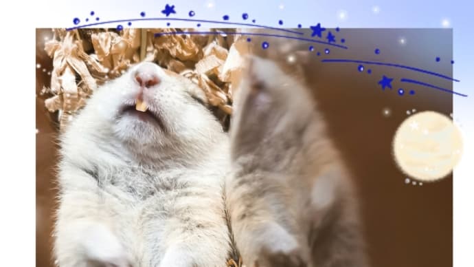 心臓に悪いって!