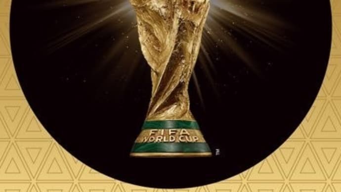 今回のFIFAワールドカップで、我が国日本は何を得たのでしょうか??