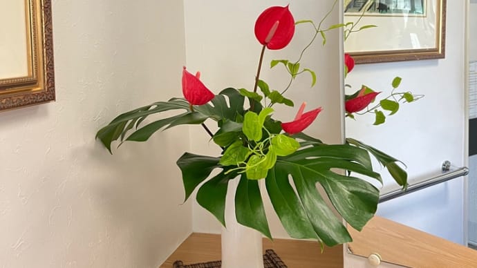 7月の生花