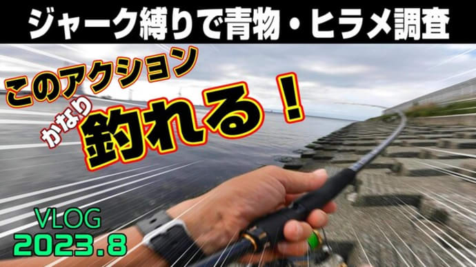 【ジギング】ジャーク縛りで青物GET!メタルジグで良型サバ炸裂♪