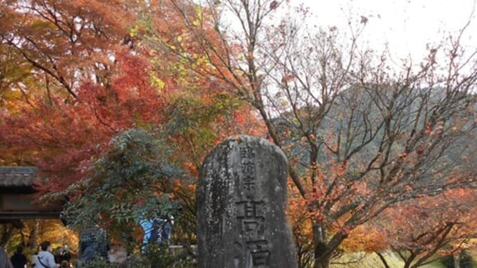 時速1.5km