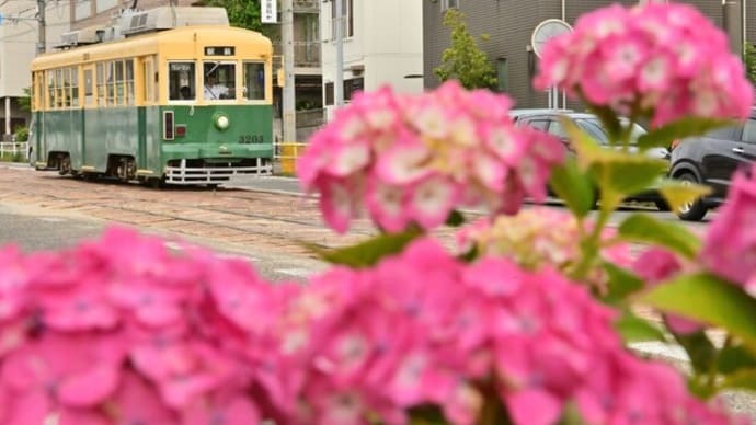 復刻デザインの市電