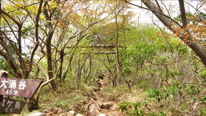 神山登山~箱根アカバナヒメイワカガミ④(回想)