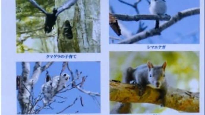 作品展のお知らせです。