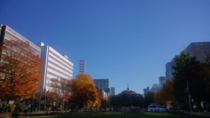明日から11月だというのに。