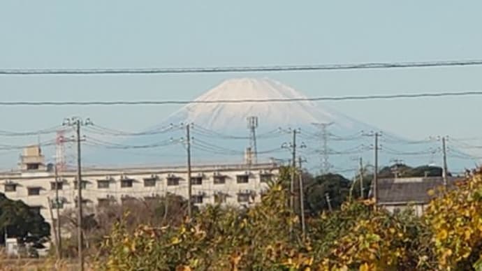 富士山見えました