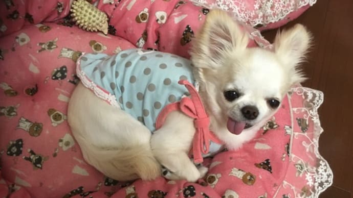 残暑厳しく・・