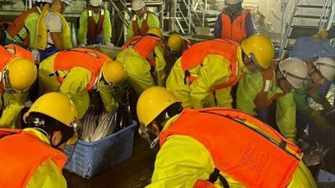 遠洋航海実習(漁場調査2日目)