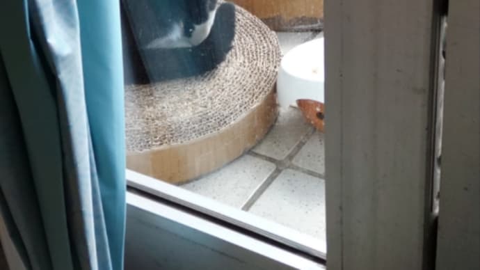 辞めずに行ってます