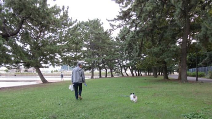 秋の野島公園はちょっと寒いかな