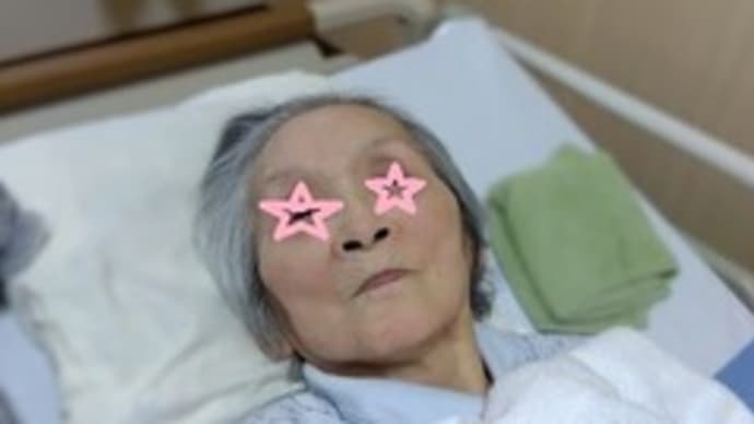 母の面会