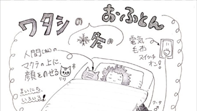 ◆ワタシのおふとん◆