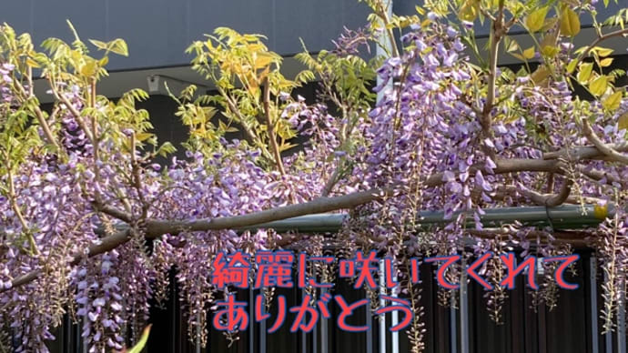 褒められると言うことは❗️