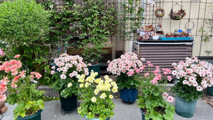 便利グッズ〜ガーデニングタブ35ℓを新調
