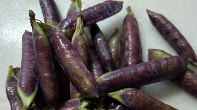 「ツタンカーメン王の副葬品のグリーンピース」
