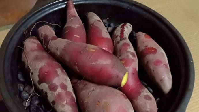 冷やし焼き芋???