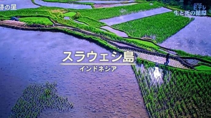 『奇跡の星 生と死の循環 後編』