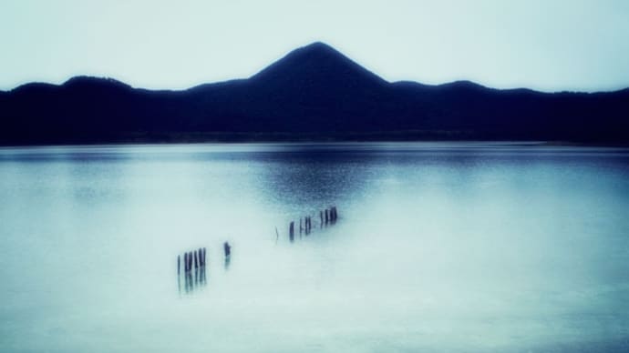 WEB写真展