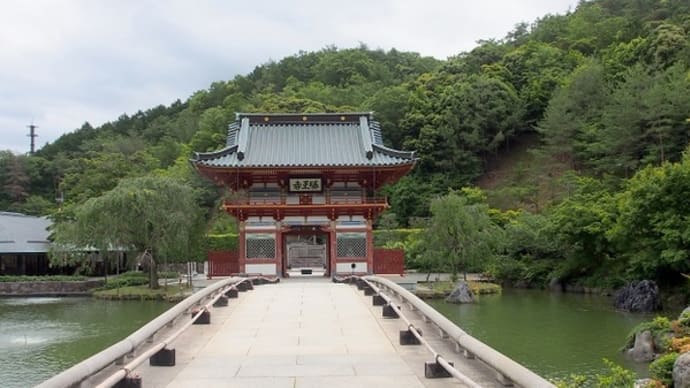 今年の紫陽花 「勝尾寺にて」